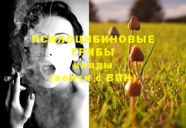 spice Волоколамск