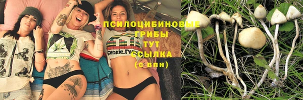 mdpv Вяземский